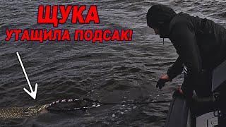 ЩУКА УТАЩИЛА ПОДСАК!!!