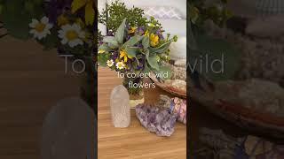 Heart broken with the news. Prayer time with plants are what I can do... we are connected by ground