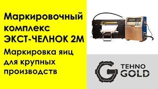 Маркировочный комплекс "ЭКСТ–ЧЕЛНОК 2М" для маркирования яиц в рифленых прокладках на птицефабриках