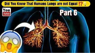 25 Surprising Facts About Human Lungs [Part 6]