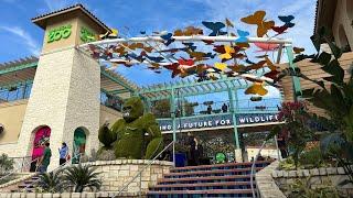 Streets around San Antonio Zoo convert to one-way during spring break