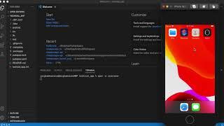 How to Open and Run Flutter App Project in Visual Studio Code (VS Code) IDE