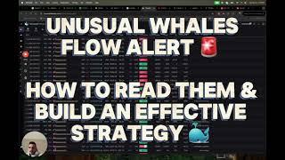 How to Use Flow Alerts on Unusual Whales | Real Examples with $SPY, $TLT & $MARA 