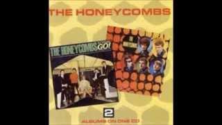 The Honeycombs   Our day will come