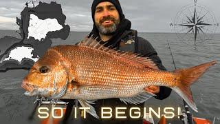 SNAPPER SEASON Begins! - The Tides of Change