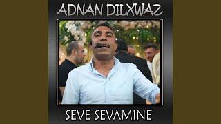 Seve Sevamıne