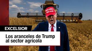 Aranceles de Trump a productos agrícolas podrían afectar gravemente al sector