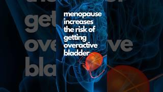 Menopause And Overactive Bladder #menopause #overactivebladder #womenshealth