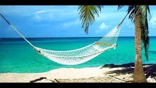 THE FUTURE OF JAMAICA AND CARIBBEAN TOURISM