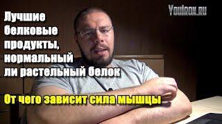 ЛУЧШИЕ БЕЛКОВЫЕ ПРОДУКТЫ, НОРМАЛЬНЫЙ ЛИ РАСТИТЕЛЬНЫЙ БЕЛОК | ОТ ЧЕГО ЗАВИСИТ СИЛА МЫШЦЫ