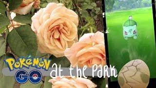 PokemonGo w/MidnightStarlight! in the park