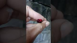 Faceted Almandine Garnet