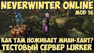 Как Там Поживает Мили-Хант? | Neverwinter Online | M16 (Lurker)