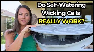 Full Review of Vego Garden's Self Watering Wicking Cell System for Raised Beds