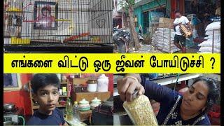 குடும்பமே அழுத்துட்டோம் எதிர்பார்க்கவே இல்லை #routinevlog #sivifamilvlogs#minivlog #samayalvlog