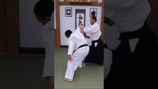 AMAZING AIKIDO TECHNIQUE! Ando Tsuneo Shihan - Sankajo 