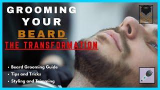 Master Your Beard: Unveiling Pro Grooming Secrets & Tips!