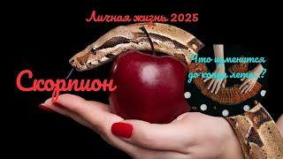 ️️СКОРПИОН️ЛИЧНАЯ ЖИЗНЬ ДО КОНЦА ЛЕТА 2025КАК ИЗМЕНИТСЯ ВАША ЖИЗНЬ..? ПЕРЕМЕНЫTarò Ispirazione