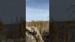 Сделали нулевую гравитацию на лодке ПВХ. Охота ну утку. #hunting #охота