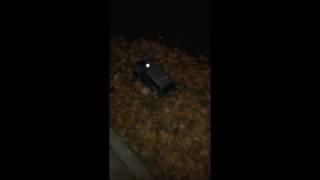 Late Night Walk with RC