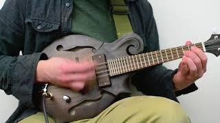 Electric Mandolin Demo - DarkwoodUSA - F Style