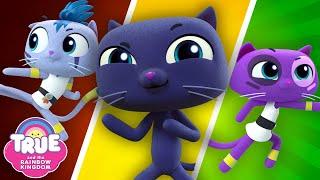 Ninja Cats! The Kittynatti & More Action-Packed Bartleby Episodes  True and the Rainbow Kingdom 