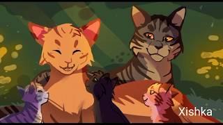 "SKINNY LOVE" Warrior Cats Animash // Blaze1313