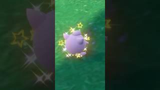 When you accidentally find the shiny. Shiny Jigglypuff! (279/366 shiny everyday) #shiny #pokemon