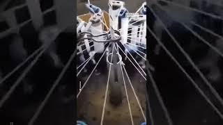 The Shoelace Making Process