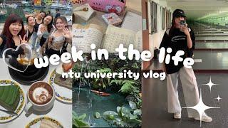 studying abroad in taiwan 🪷 cafes, exploring with friends, being productive | college diaries