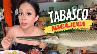  COMÍ pejelagarto en Nacajuca TABASCO capitulo #7