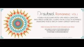 Caractere & White Fluid - Dumbrava Minunata (Original Mix) Dinsubsol Romanesc Vol1