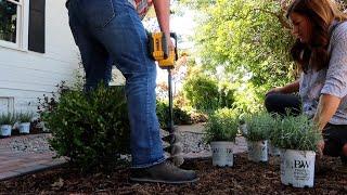 Planting Lavender! // Garden Answer