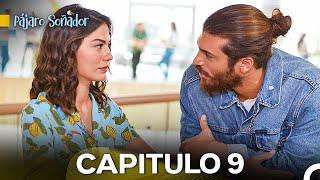 Pájaro Soñador Capítulo 9 (Doblado En Español)