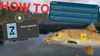 HOW TO COMPLETE " 7 YEAR ANNIVERSARY TASKS" STAGE 3 (NON PREMIUM) Russian fishing 4