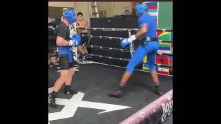 CANELO ALVAREZ SPARRING HEAVYWEIGHT FRANK SANCHEZ #shorts
