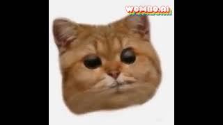 Cat  Wombo.ai