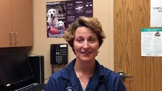 Cotner & Superior Vet Care   Dr.  Jody Jones   About my pets