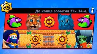 ПРЯТКИ ПАЙПЕР, БИБИ, ДЖИНА И МОРТИСА! МИНИ РЕЖИМ В BRAWL STARS КОНЦЕПТ