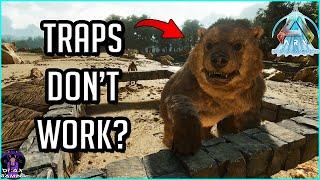 Ark Dino Creature Behaviour & Pathing CHANGED AGAIN !!! ASA Survival Ascended News