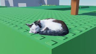 Sleeping Cat Simulator