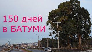 Не прошло и полгода. Батуми 17 02 23