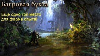 Еще одно топ место для фарма опыта в TESO! Об этом месте вы должны знать :)The Elder Scrolls Online