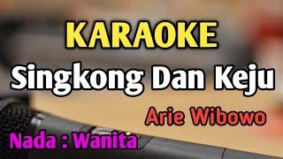 SINGKONG DAN KEJU - KARAOKE || NADA WANITA CEWEK || Disco Music || Arie Wibowo || Live Keyboard