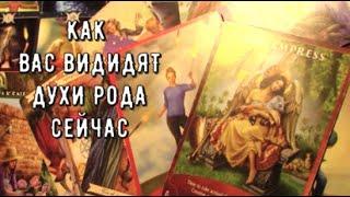 Связь с Предками Сила Рода ️ Как вас Видят Духи рода ️ Кто вы Что они скажут Таро знаки Судьбы