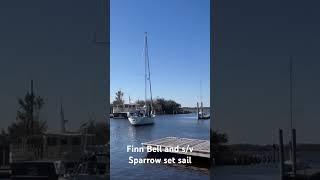 Finn Bell (17) sets sail on his sailboat Sparrow.