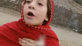 Pawri horai hai || pathan girl || viral video