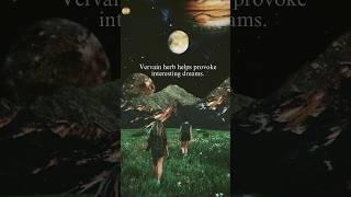 Magical Herbs Used For Rituals & Protection (Vervain) #shorts #magical #herbs #occult #spiritual