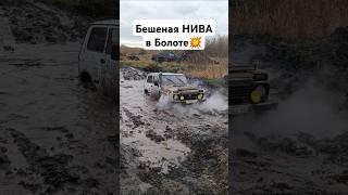 Что ТВОРИТ НИВА на КАРБЮРАТОРЕ  #автоврн #нива #оффроад #новаянива #тюнингнива