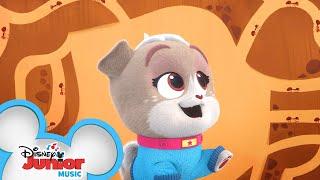Ants   | Music Video | Puppy Dog Pals | Disney Junior